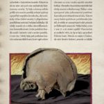 Údajná Žižkova kalva